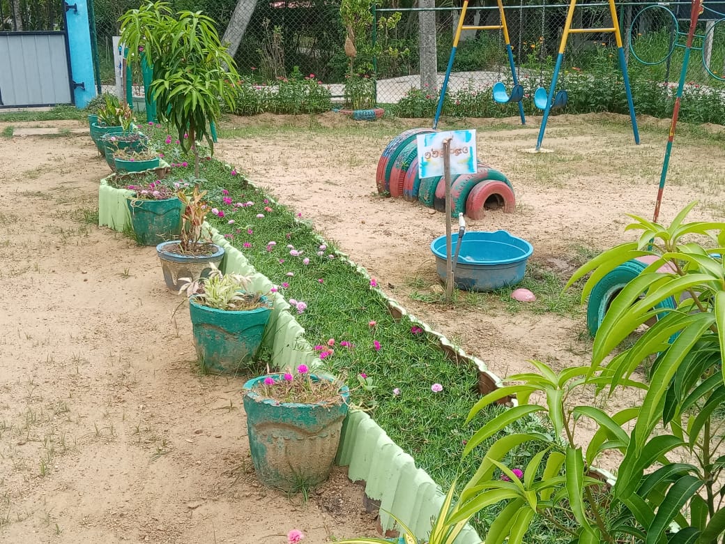 home image